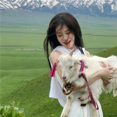 楚留香新传之影子传奇